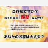 �����Ѳкҷ����֥ͥĥͥ�10��Ǯ�����֥��ॱ��10�ױ켰