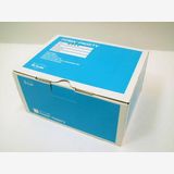 �����ʢ�P905iTV���ۥ磻�ȡ��ʥɥ��� FOMA �ǹ���p905itv ����1