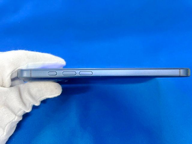 ��SIM�ե꡼��iPhone17 Pro Max 256GB�ʥ֥롼�ˡ�Ƚ���������ʡ�����̵����