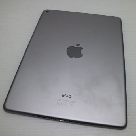 �¿��ݾ��� ���� iPad Air 2 Wi-Fi 64GB ���ڡ������쥤  �������