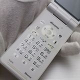 ¿ݾ  P-01G ۥ磻  