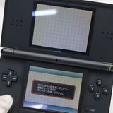 �¿��ݾ��� ���� �˥�ƥ�ɡ�DS Lite �饤�� �֥�å�  �������