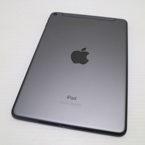 ����Ʊ�� SIM�ե꡼ iPad mini 5 Cellular 256GB ���ڡ������쥤