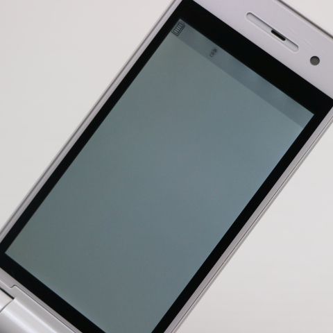 �¿��ݾ��� Ķ���� P-01G �ۥ磻�� ����� �������