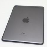 ����Ʊ�� SIM�ե꡼ iPad mini 5 Wi-Fi+����顼  256GB ���ڡ������쥤