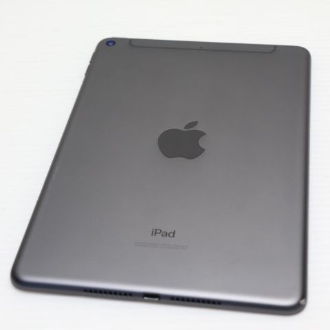 ����Ʊ�� SIM�ե꡼ iPad mini 5 Wi-Fi+����顼  256GB ���ڡ������쥤