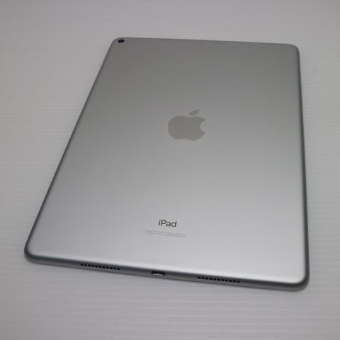 Ķ SIMե꡼ iPad Air 3 Cellular 256GB  С 