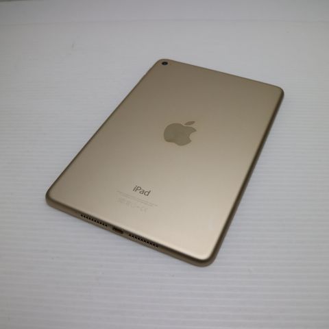 �¿��ݾ��� Ķ���� iPad mini 4 Wi-Fi 64GB �������  �������