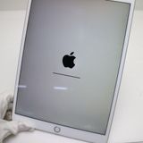 �¿��ݾ� Ķ���� iPad Air 3 wi-fi��ǥ� 64GB  ����С�