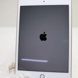���� SIM�ե꡼ iPad mini 5 Wi-Fi+����顼  256GB �������