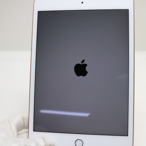 ���� SIM�ե꡼ iPad mini 5 Wi-Fi+����顼  256GB �������