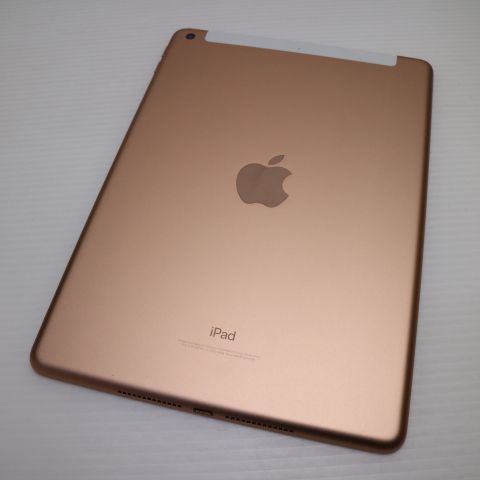 Ʊ SIMե꡼ iPad 6 128GB 