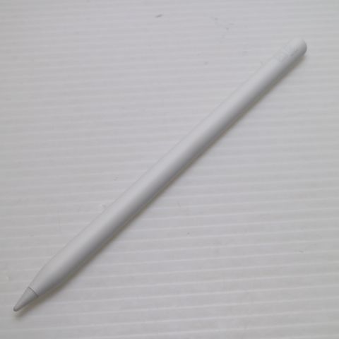 �¿��ݾ� ����Ʊ�� Apple Pencil Pro �ۥ磻��