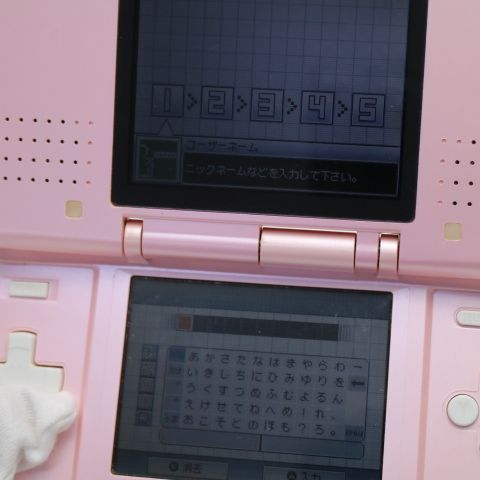 �¿��ݾ��� ���� �˥�ƥ�ɡ�DS �����ǥ��ԥ�  �������