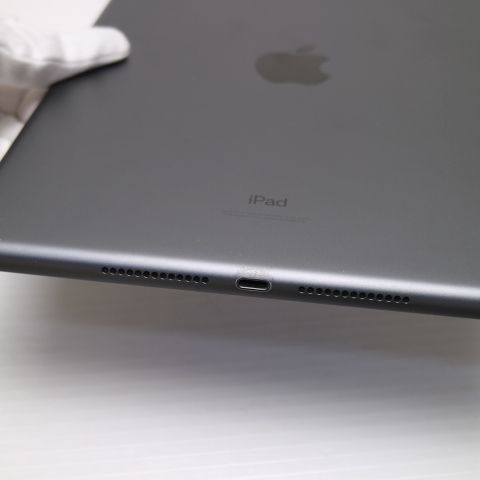 �¿��ݾ� Ķ���� iPad ��8���� Wi-Fi 32GB ���ڡ������쥤 ¨��ȯ�� ������ȯ��