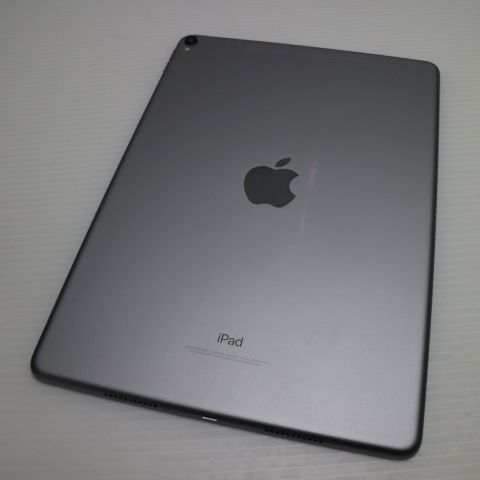 Ķ SIMե꡼ iPad Pro 10.5 256GB ڡ쥤
