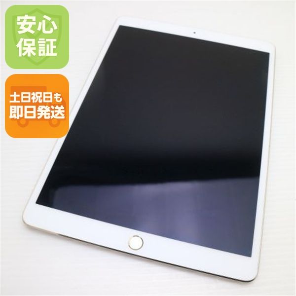 �¿��ݾ� Ķ���� iPad Pro 10.5����� Wi-Fi 256GB ������� ����