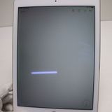 �¿��ݾ��� Ķ���� docomo iPad Air 2 Cellular  16GB �������