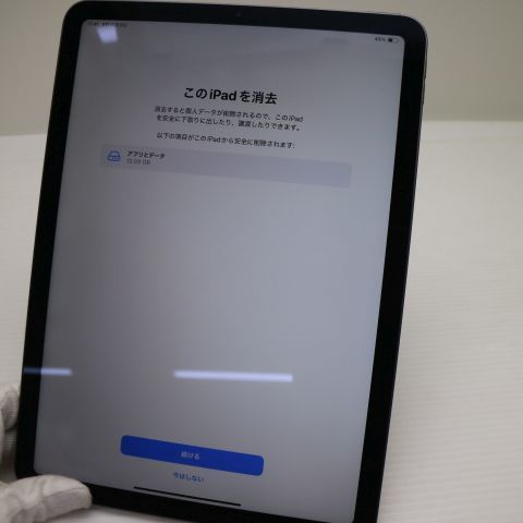 �¿��ݾ� Ķ���� iPad Air ��4���� Wi-Fi 64GB ���ڡ������쥤 ������ȯ��