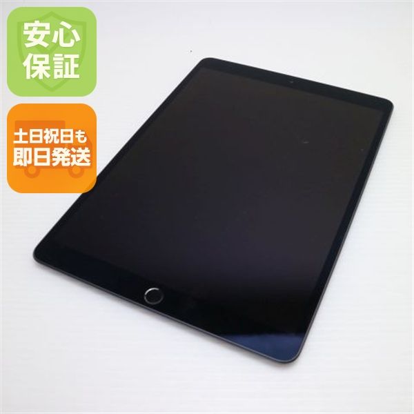  SIMե꡼ iPad Air 3 Cellular 256GB  ڡ쥤 