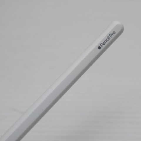�¿��ݾ� Ķ���� Apple Pencil Pro �ۥ磻��