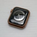 �¿��ݾ� Ķ���� Apple Watch series5 40mm GPS��ǥ� �������