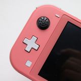 �¿��ݾ� ���� Nintendo Switch Lite �������