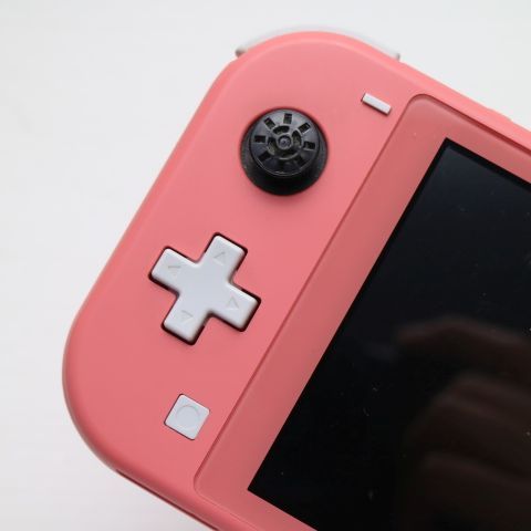 �¿��ݾ� ���� Nintendo Switch Lite �������