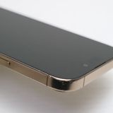 �¿��ݾ� ���� SIM�ե꡼ iPhone 16 Pro 256GB �ǥ����ȥ����˥���