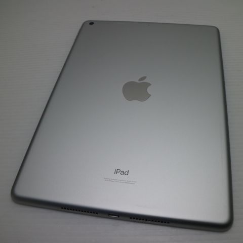 �¿��ݾ� ����Ʊ�� iPad ��9���� Wi-Fi 256GB ����С�