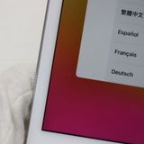 Ķ���� SIM�ե꡼ iPad mini 5 Wi-Fi+����顼  64GB ����С�