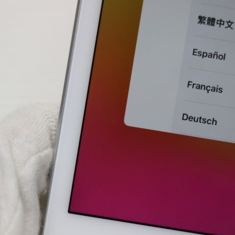 Ķ���� SIM�ե꡼ iPad mini 5 Wi-Fi+����顼  64GB ����С�