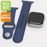 安心保証 超美品 Apple Watch Series 10 42mm セルラー シルバー