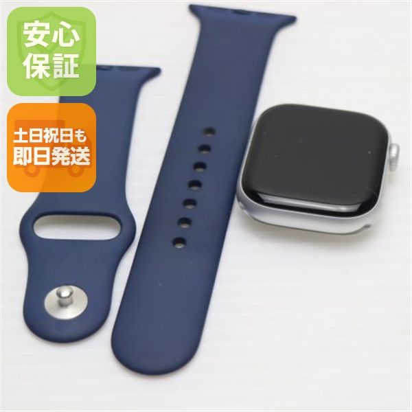 �¿��ݾ� Ķ���� Apple Watch Series 10 42mm ����顼 ����С�