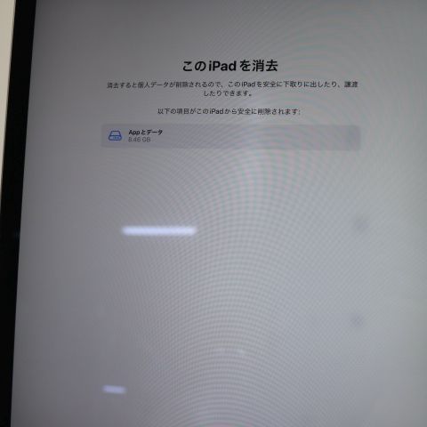 �¿��ݾ��� Ķ���� iPad Pro 12.9����� Wi-Fi 32GB ���ڡ������쥤