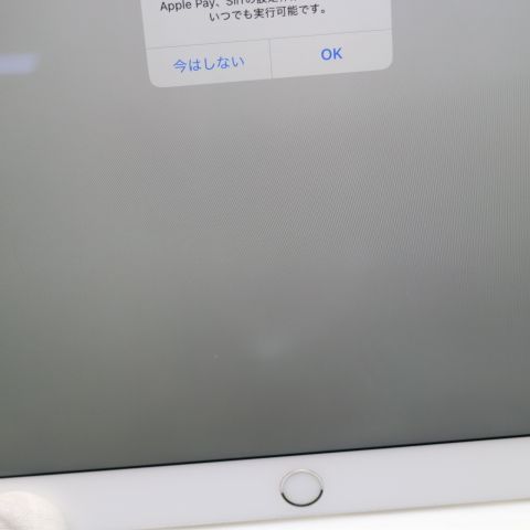 Ķ SIMե꡼ iPad Air 3 Cellular 256GB  С 