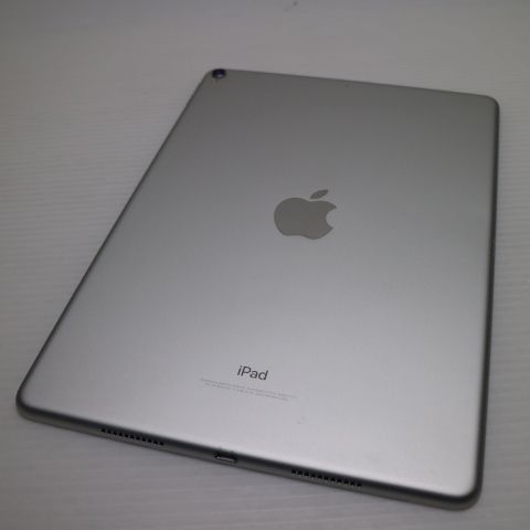 �¿��ݾ� Ķ���� iPad Pro 10.5����� Wi-Fi 64GB ����С� ����