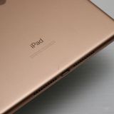 Ķ SIMե꡼ iPad mini 5 64GB 