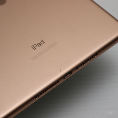 Ķ SIMե꡼ iPad mini 5 64GB 