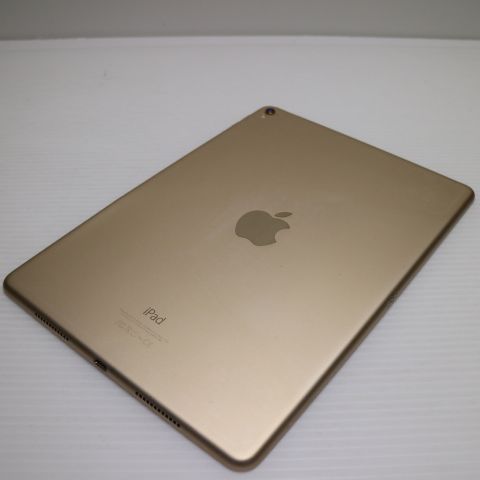 �¿��ݾ� ���� iPad Pro 9.7����� Wi-Fi 256GB ������� ����
