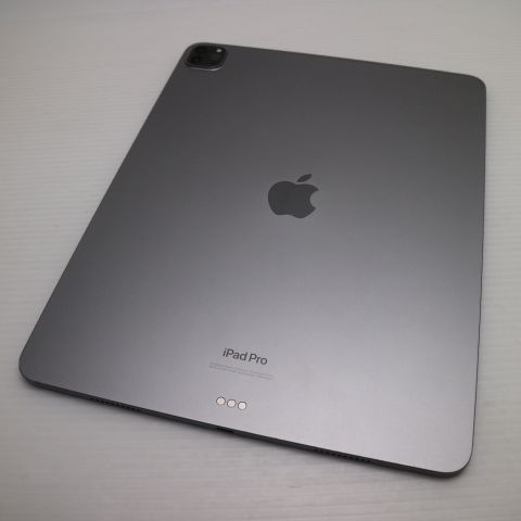 �¿��ݾ� ������� iPad Pro ��6���� 12.9����� 256GB ���ڡ������쥤