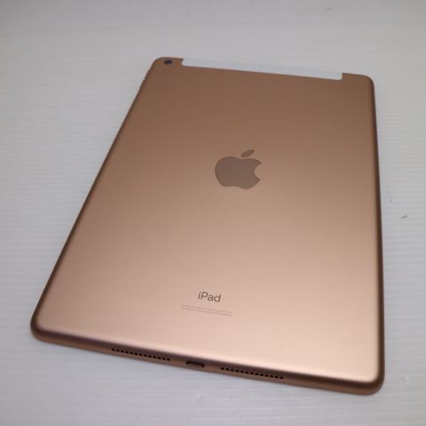�¿��ݾ� ����Ʊ�� SIM�ե꡼ iPad7 ��7���� Wi-Fi+����顼  32GB  �������