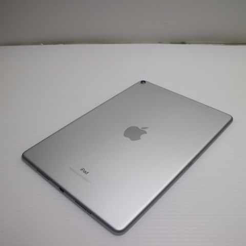 ¿ݾ Ķ SIMե꡼ iPad Pro 10.5 256GB С