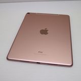 ¿ݾ Ķ SIMե꡼ iPad Pro 10.5 64GB 
