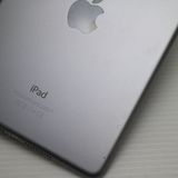 �¿��ݾ��� Ķ���� iPad mini 4 Wi-Fi 64GB ���ڡ������쥤  �������