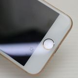 �¿��ݾ��� Ķ���� SIM�ե꡼ iPhone8 64GB �������  �������