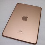 ����Ʊ�� SIM�ե꡼ iPad mini 5 Cellular 256GB �������