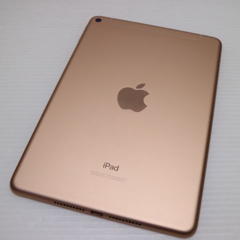 ����Ʊ�� SIM�ե꡼ iPad mini 5 Cellular 256GB �������