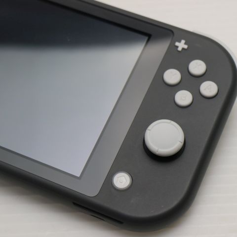 �¿��ݾ� ���� Nintendo Switch Lite ���졼
