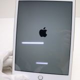 �¿��ݾ��� ���� docomo iPad mini 3 ����顼 16GB �������